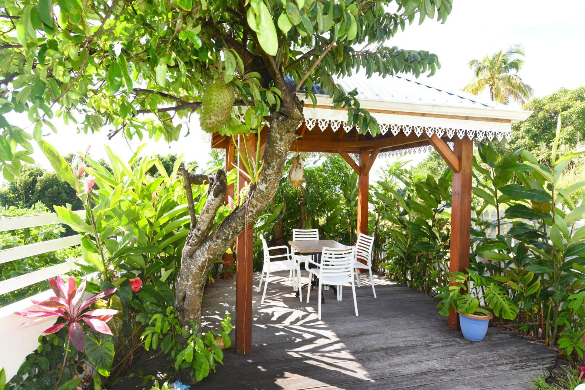Belavue & Spa Prive, Avec Vue Panoramique Sur Mer, Jardin Creole Paysager, Jacuzzi Prive Bouillante Exterior foto