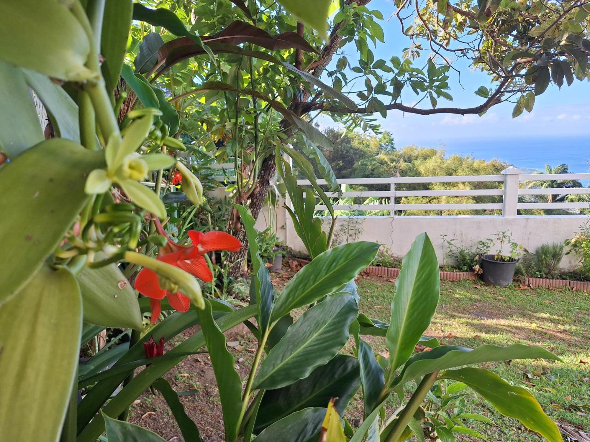 Belavue & Spa Prive, Avec Vue Panoramique Sur Mer, Jardin Creole Paysager, Jacuzzi Prive Bouillante Quarto foto